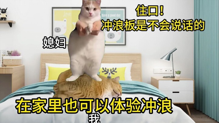 [Meme kucing] Istri di rumah mencoba berselancar, ternyata papan selancarnya adalah aku!
