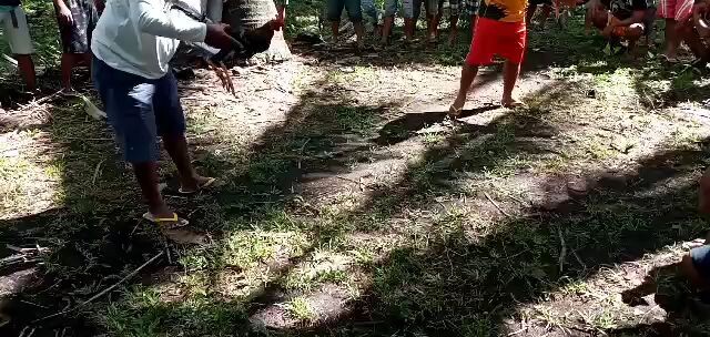 ruby29--tupada win#5