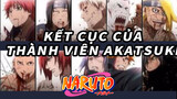 Cái chết của tất cả thành viên Akatsuki | Naruto