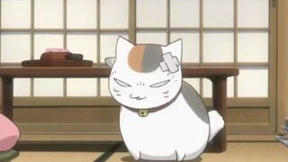 Natsume praised the black cat as cute, Sansan was very angry, he must be jealous