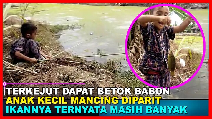 ANAK INI TERKEJUT DAPAT BETOK BABON ~ MANCING BETOK BABON DIPARIT
