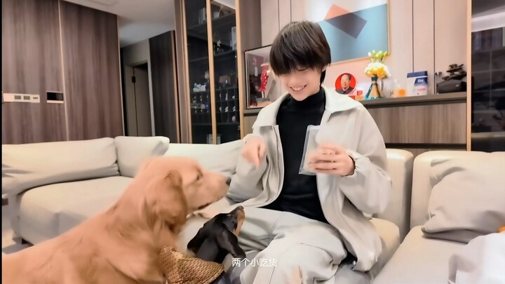[Chen Sihan] Sihan’s Little Daily Life 16.0 | “Introducing my cats and dogs to everyone～”