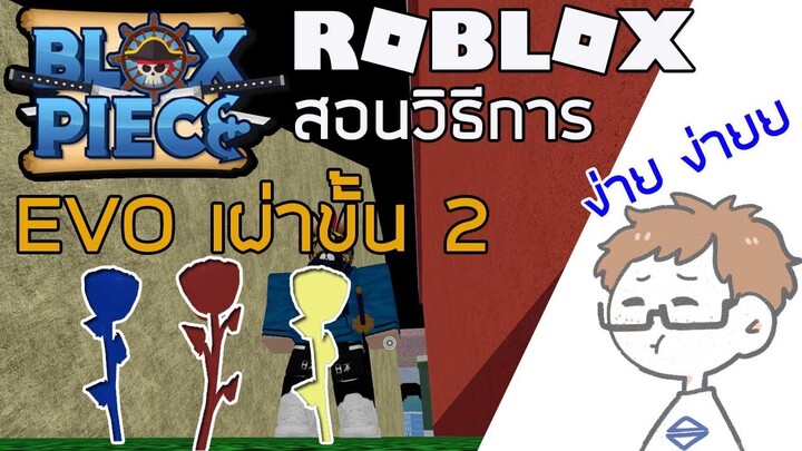 Roblox:Blox Piece สอนวิธีการ EVO เผ่าขั้น 2 [ UPDATE8 ]