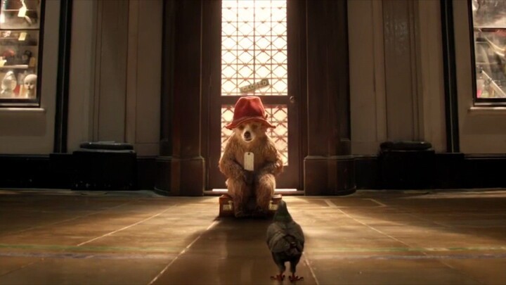 chú gấu paddington phần 1 tập 1