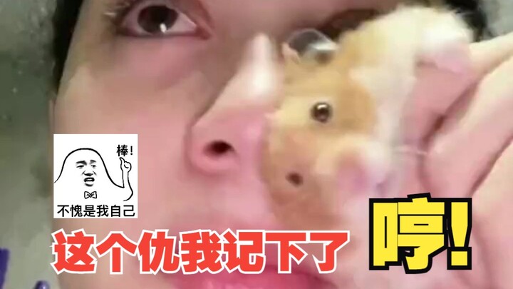 Kế hoạch trả thù của chú chuột hamster nhỏ!