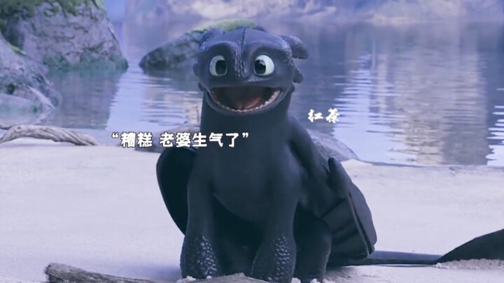 Come check out how Toothless is sweet-talking his wife—so cute!