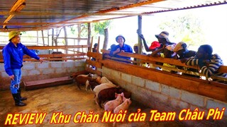 Chăn Nuôi VIỆT NAM ở Châu Phi || Toàn Cảnh Khu Chăn Nuôi Khổng Lồ Của Team Nông Nghiệp