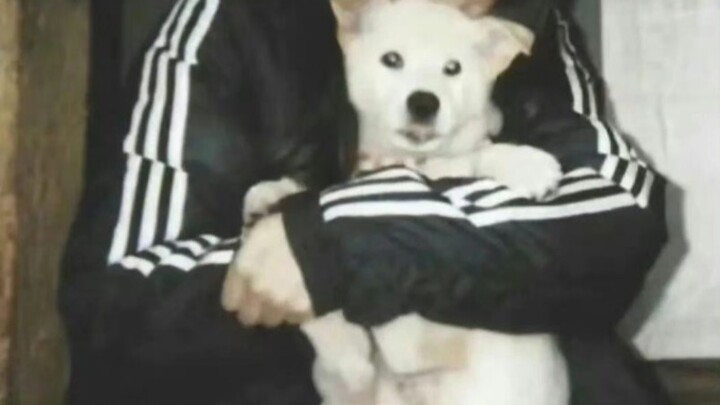 A female idol who was already famous during her trainee days!