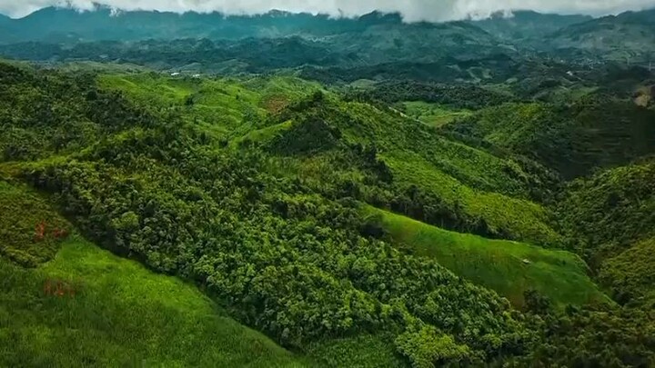tentara wanita kembar aksi tembak-tembakan yang memukau