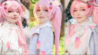 ( ＞◡❛)Tell me, do you like watching cherry blossoms?