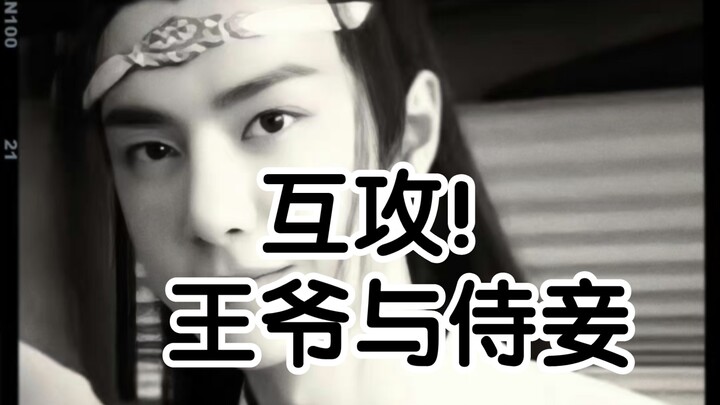 忘羡互攻！蓝湛双性生子！双性帝王湛*男扮女装皇贵妃羡！ 王爷与侍妾 04