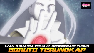 WAH RAHASIA DIBALIK REGENERASI KARMA MOMOSHIKI TERUNGKAP DI EPISODE 293