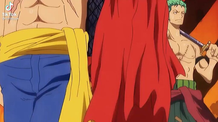 LUFFY ZORO you are too hot