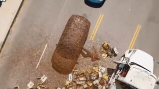 كيف يبدو الأمر عندما تجد نفسك محاصرًا في سيارة مع آلاف النحل القاتل؟