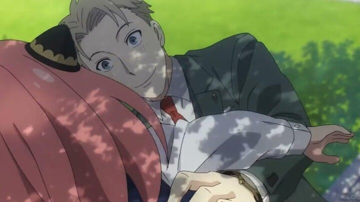 SPY X FAMILY「AMV」สเตลล่าร์