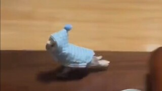 هاهاها، ارتديت الرداء وركضت!