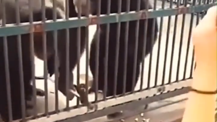 A child's upbringing comes from their parents.