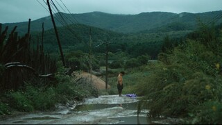 "The Jungle Book" Award-winning short film 86358 Best Director