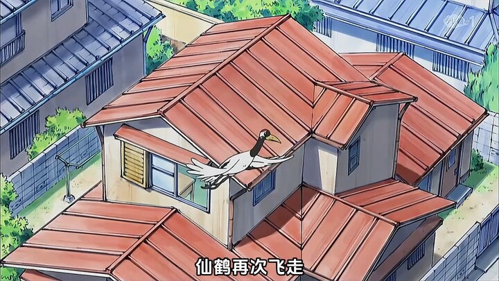 特殊的仙鹤