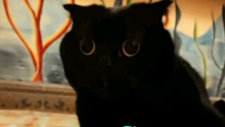 2021 is finally here! I love the magic number 21! Happy New Year, everyone!