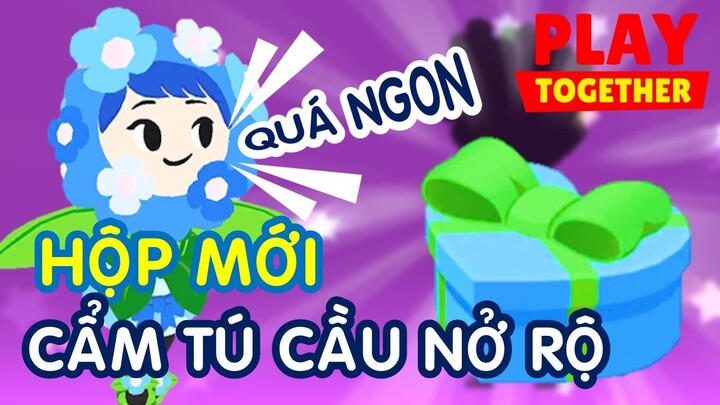 Mở Hộp CẨM TÚ CẦU NỞ RỘ. Gói Mới, Nhân Phẩm Cũ [ PLAY TOGETHER ]