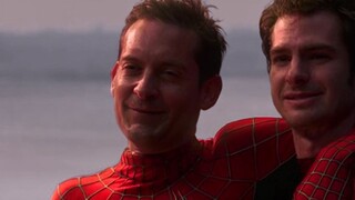 Do you really understand Spider-Man?