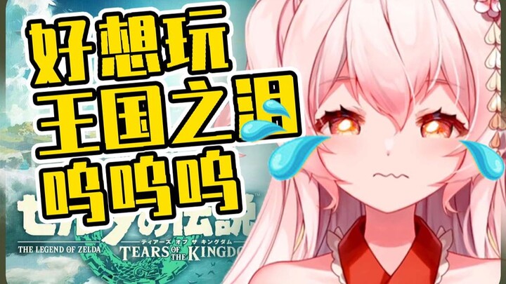 因为没钱买NS玩不了王国之泪 气得内心崩溃又哭又闹呜呜呜呜好可怜啊【每日一碗下玖菜#7】