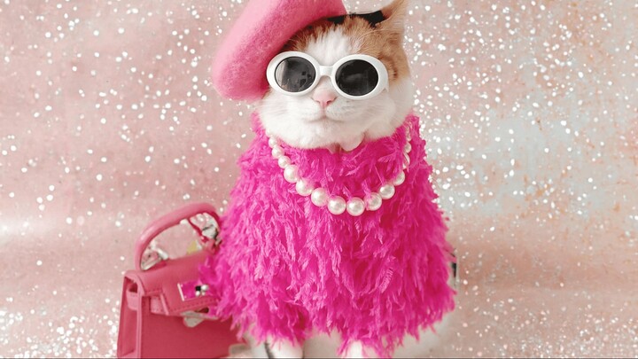 pink prince with trauma