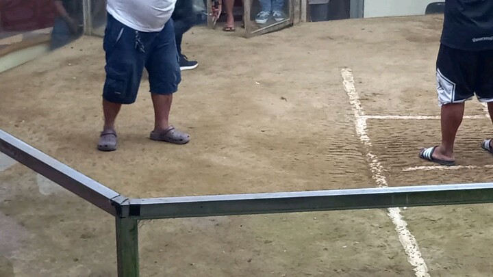 2nd fyt win. maywrather