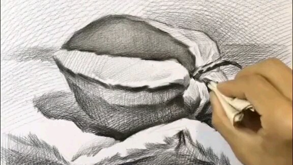 Cara Menggambar Still Life: Buah Ciplukan dengan Pensil Sketsa