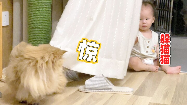 เจ้าหมูโมจิสีทองกับน้องชายเล่นซ่อนหาอยู่หลังผ้าม่าน คิดว่ากำลังเล่นจ๊ะเอ๋กัน แต่โมจิกลับบอกว่า “ดูลู