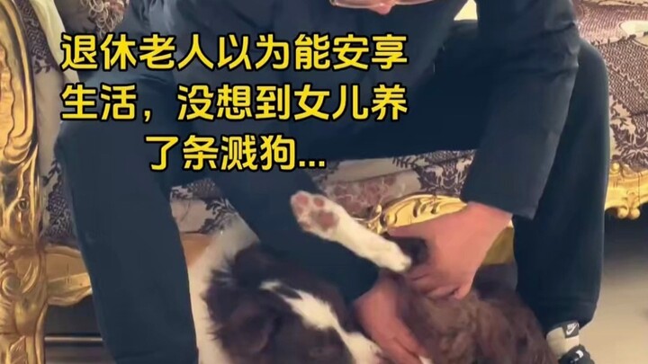 Just when the retired elder thought they could finally enjoy their golden years, their daughter brou