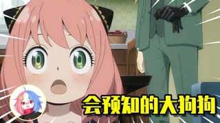 我家的狗狗会预知未来哦！| 间谍过家家04
