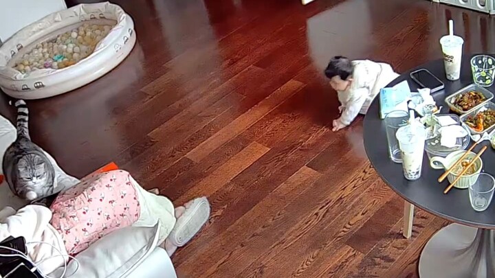 A “let-it-all-go” day with the kids! Totally drained—time for Grandpa Cat to take over!