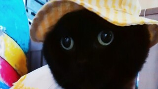 Isn’t this outfit awesome?