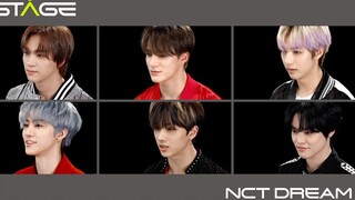 【معهد أبحاث التكنولوجيا الثقافية الجديدة】NCT DREAM THE STAGE (بالصينية)