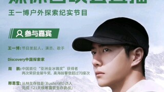王一博流量揭秘：活粉与黑粉的奇妙平衡？