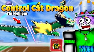 Tôi Bug CONTROL "Cắt Đôi" DRAGON?! Và Thí Nghiệm Bí Ẩn Trong Blox Fruit...