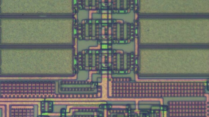 SCP-003 Biological Motherboard
