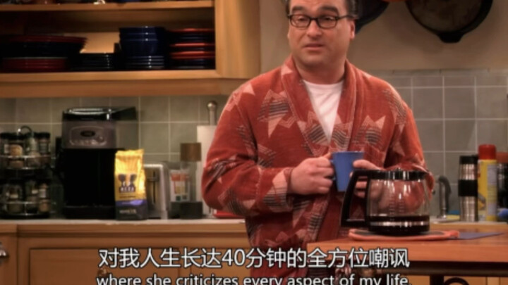 【TBBT】莱纳德小时候受妈妈折磨，长大受谢尔顿折磨