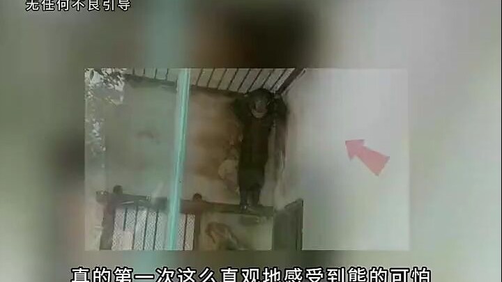 For the first time, I truly felt how terrifying bears can be! Even scarier than hurting people is th