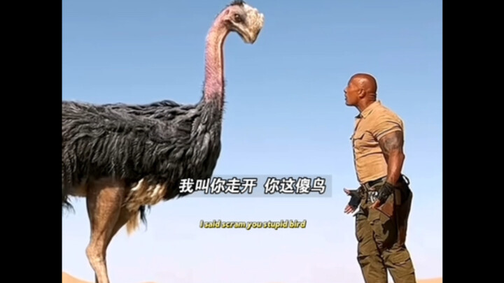 Nói chậm quá, chết mất thôi.