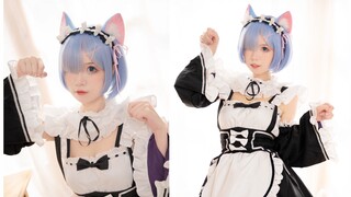[Wotagei] Schrodinger's Cat - Hatsune Miku