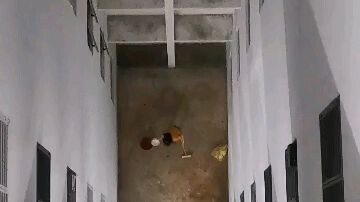 kanak2 ni di denda kerana membuang sampah dari atas