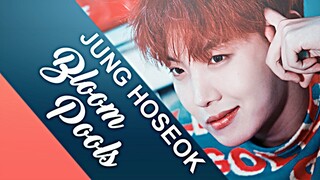 Happy Bday J-Hope | Bloom Pools [+Jimicky]