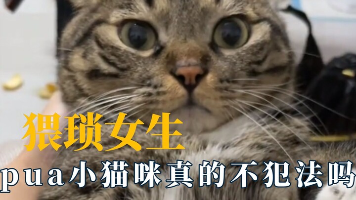 This is the first time I use the word "vulgar" to describe a girl. It's better to beg for food than 