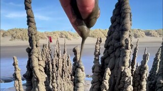 Castle made of sand
