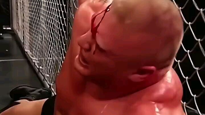 Brock Lesnar vs. The Undertaker⚡️⚡️ in Hell in a Cell ☠️☠️