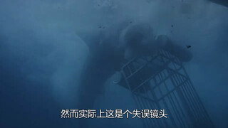 好莱坞失误镜头，大白鲨开小差不好好拍戏，导演只能紧急修改剧本