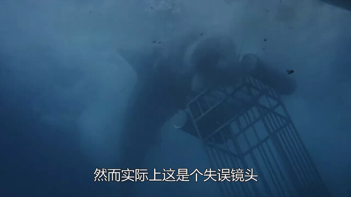 Hollywood blooper: The great white shark got distracted and wasn't acting properly, so the director 